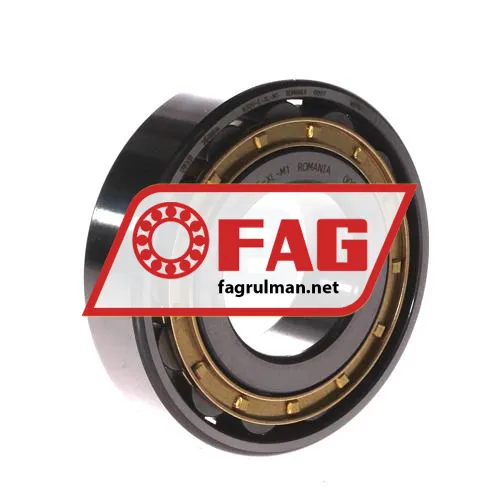 FAG N309-E-XL-M1