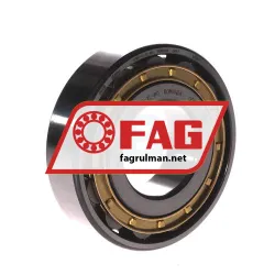 FAG N309-E-XL-M1