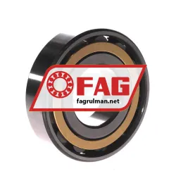 FAG N309-E-XL-M1 rulman resim 2