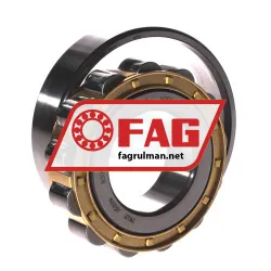 FAG N309-E-XL-M1 rulman resim 3