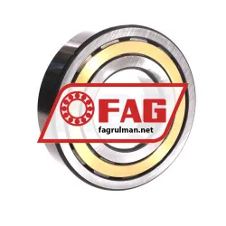 FAG NJ315-E-XL-M1 rulman resim 2