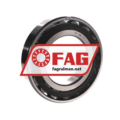 FAG N220-E-XL-TVP2-C3