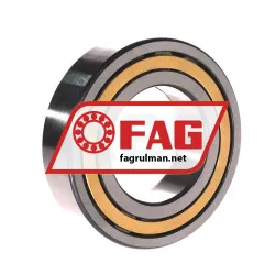 FAG NUP2212-E-XL-M1-C3 rulman resim 2