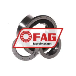 FAG NUP203-E-XL-TVP2 rulman resim 3