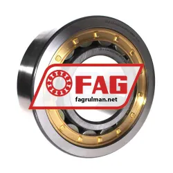 FAG NJ2322-E-M1A-QP51-C3