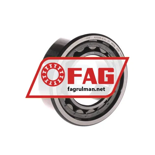 FAG NJ2209-E-XL-JP1