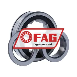 FAG NUP311-E-XL-N-TVP2 rulman resim 3
