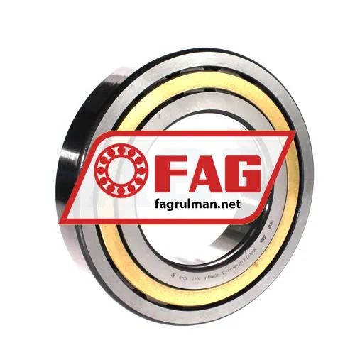 FAG NUP221-E-XL-M1-F1-C3 ürün fotoğrafı 2