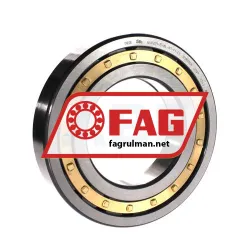 FAG NUP221-E-XL-M1-F1-C3
