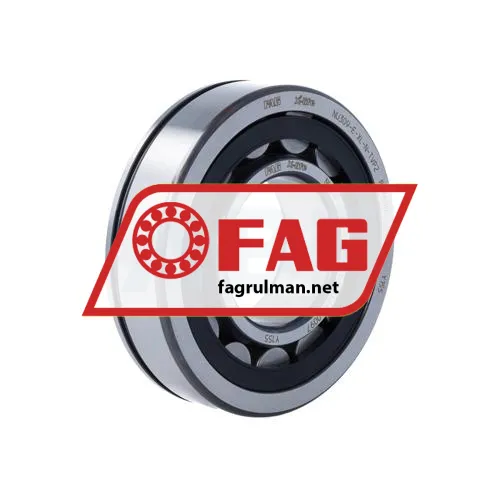 FAG NU309-E-XL-N-TVP2