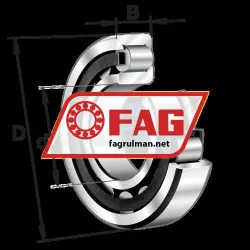 FAG NJ210-E-XL-TVP2-C3 rulman resim 4