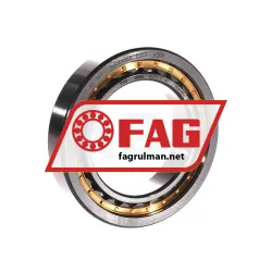FAG NU1012-XL-M1