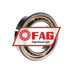 FAG NU1012-XL-M1 rulman resim 2