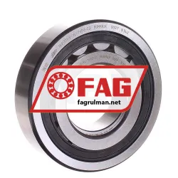FAG NUP311-E-XL-TVP2-C3