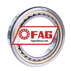 FAG NU1021-XL-MPAX-C3