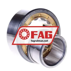 FAG NJ2311-E-XL-M1A-QP51-C4 rulman resim 2