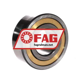 FAG NJ2311-E-XL-M1A-QP51-C4 rulman resim 3