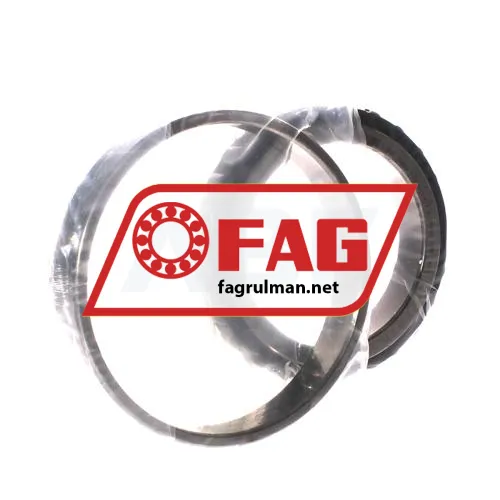 FAG N1015-D-K-TVP-SP-XL