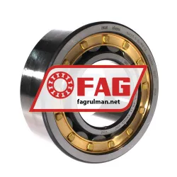 FAG NJ2315-E-XL-M1A-C3