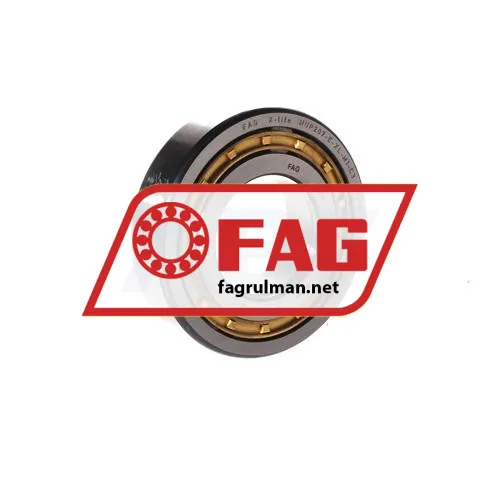 FAG NUP207-E-XL-M1-C3