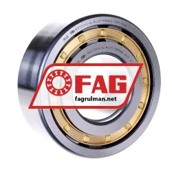 FAG NUP2313-E-XL-M1-C3