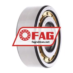 FAG NUP2313-E-XL-M1-C3 rulman resim 2