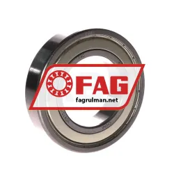 FAG NU319-E-XL-M1