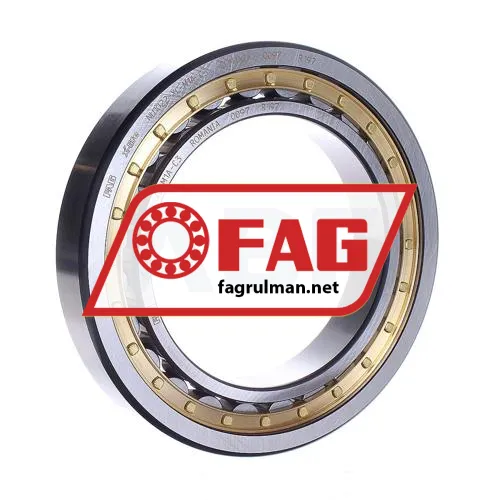 FAG NU1022-XL-M1A-C3