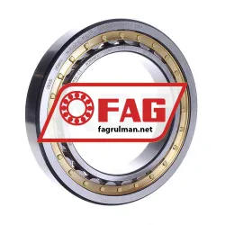 FAG NU1022-XL-M1A-C3
