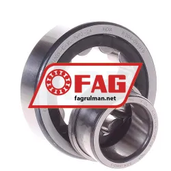 FAG NJ305-E-XL-TVP2-C4 rulman resim 2