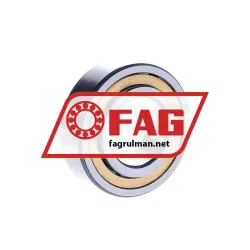 FAG NJ2208-E-XL-M1A-C3 rulman resim 3