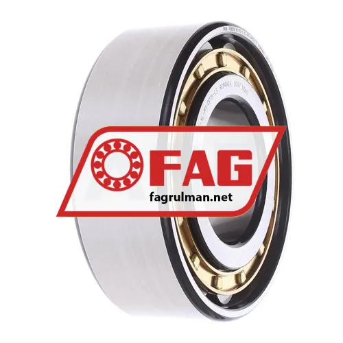 FAG N2315-E-XL-M1-QP15-C3