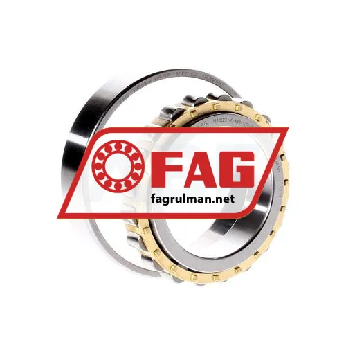 FAG N1009-K-M1-SP-T50EC-C2 ürün fotoğrafı 2
