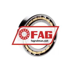 FAG N1009-K-M1-SP-T50EC-C2