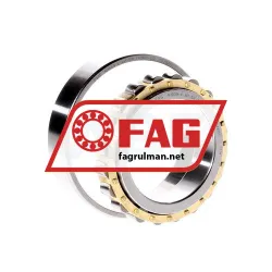 FAG N1009-K-M1-SP-T50EC-C2 rulman resim 2