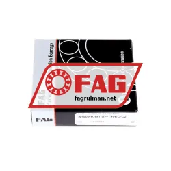 FAG N1009-K-M1-SP-T50EC-C2 rulman resim 4