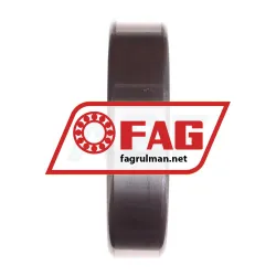 FAG N313-E-TVP2 rulman resim 3