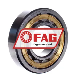 FAG NU313-E-M1-C4