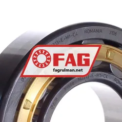 FAG NU313-E-M1-C4 rulman resim 2