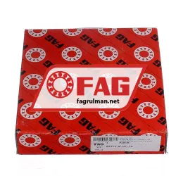 FAG NU313-E-M1-C4 rulman resim 5