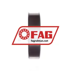 FAG NJ408-M1 rulman resim 4