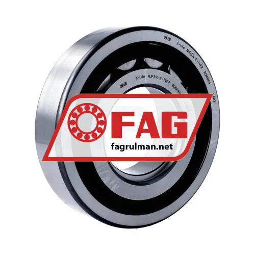 FAG NUP314-E-TVP2
