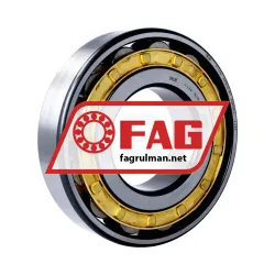 FAG N318-E-M1