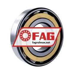 FAG N318-E-M1 rulman resim 2