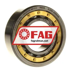 FAG NU205E-M1-C3