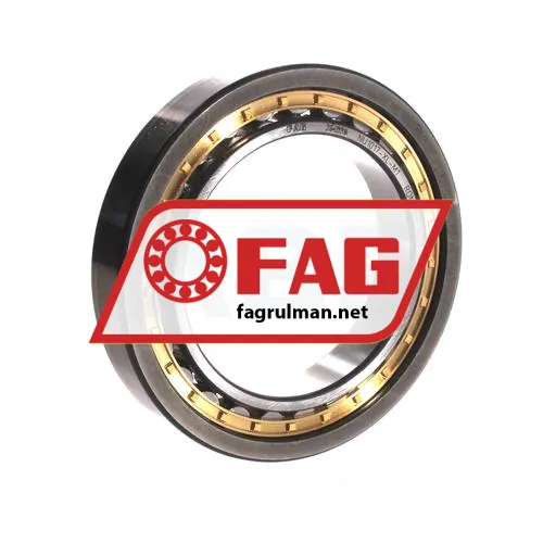 FAG NU1017-XL-M1