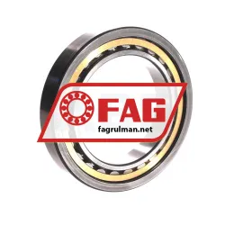 FAG NU1017-XL-M1 rulman resim 2