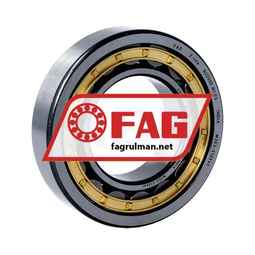 FAG NU209-E-XL-M1-C3