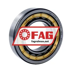 FAG NU209-E-XL-M1-C3