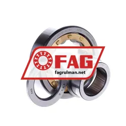 FAG NUP305-E-XL-M1 rulman resim 2